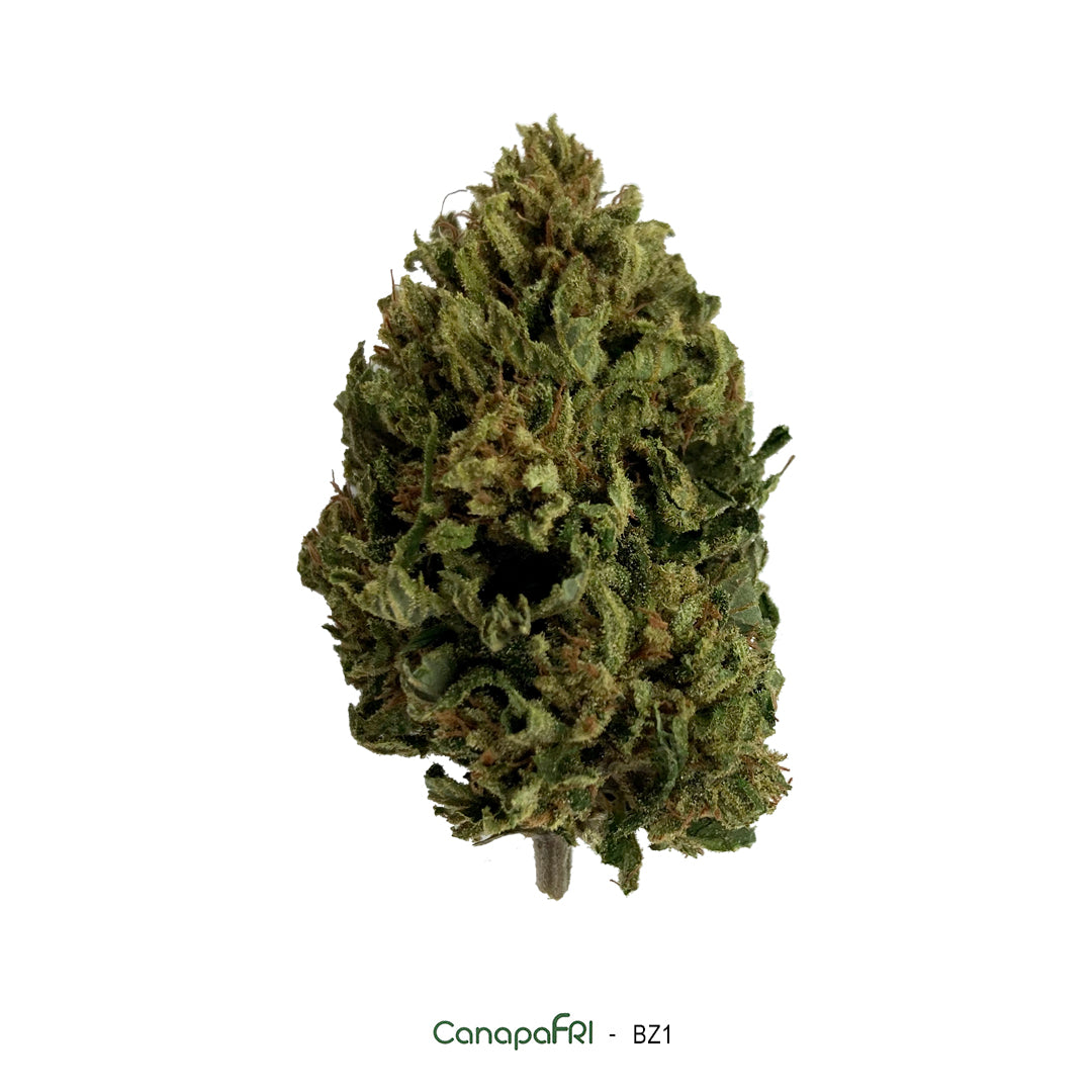 Cannabis light BZ1